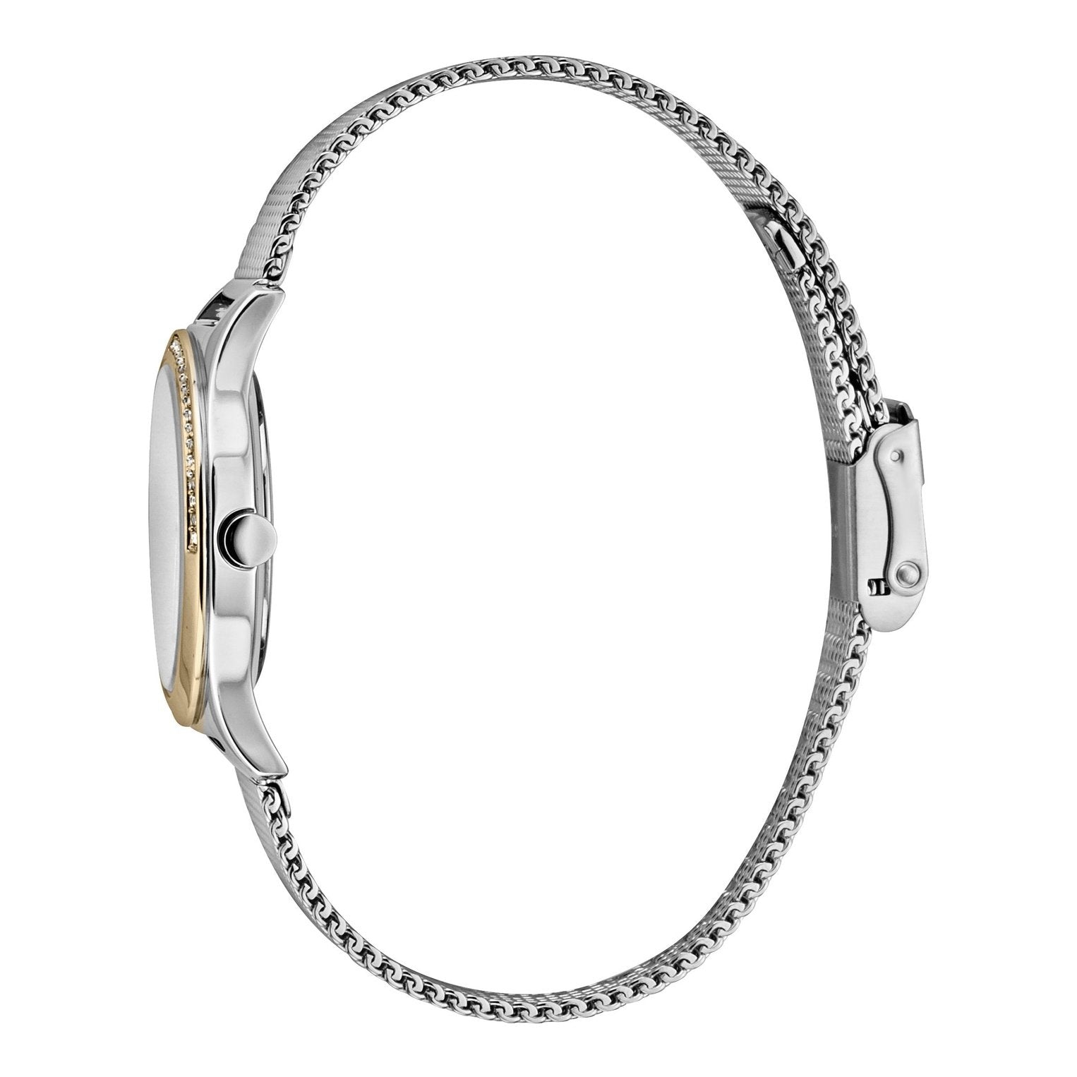 Ladies Hood Watch (ES1L116M0095)