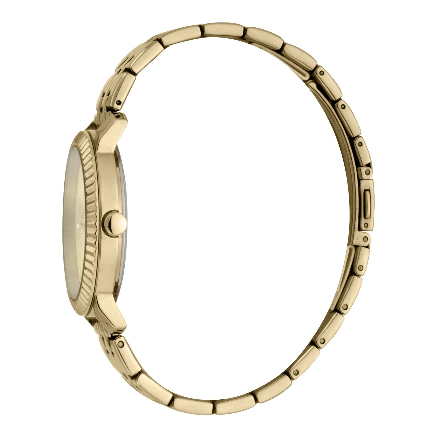 Ladies Menlo Watch (ES1L185M0065)