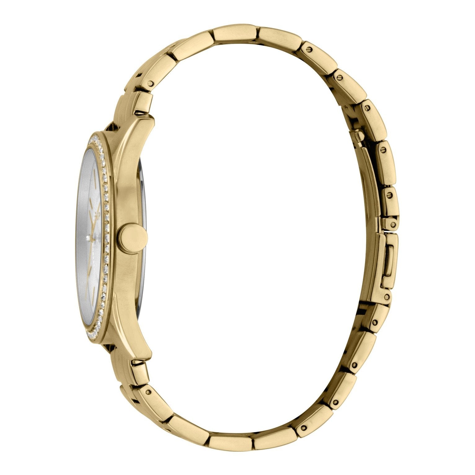 Ladies Carlin Watch (ES1L196M0065)
