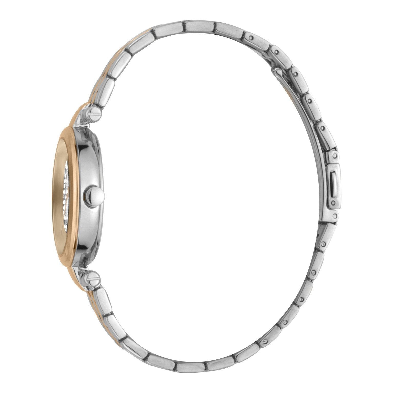 Ladies Cherry Watch (ES1L203M0105)