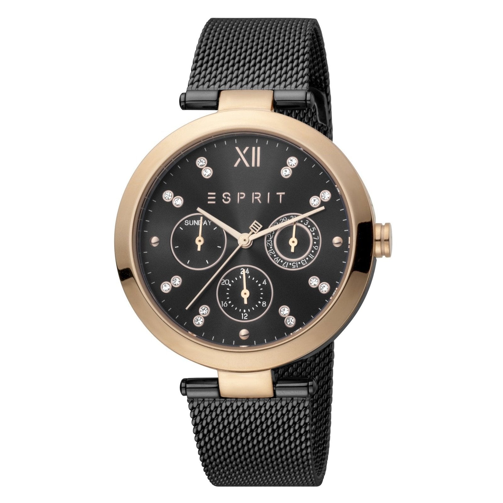 Ladies Florine Watch (ES1L213M0085)