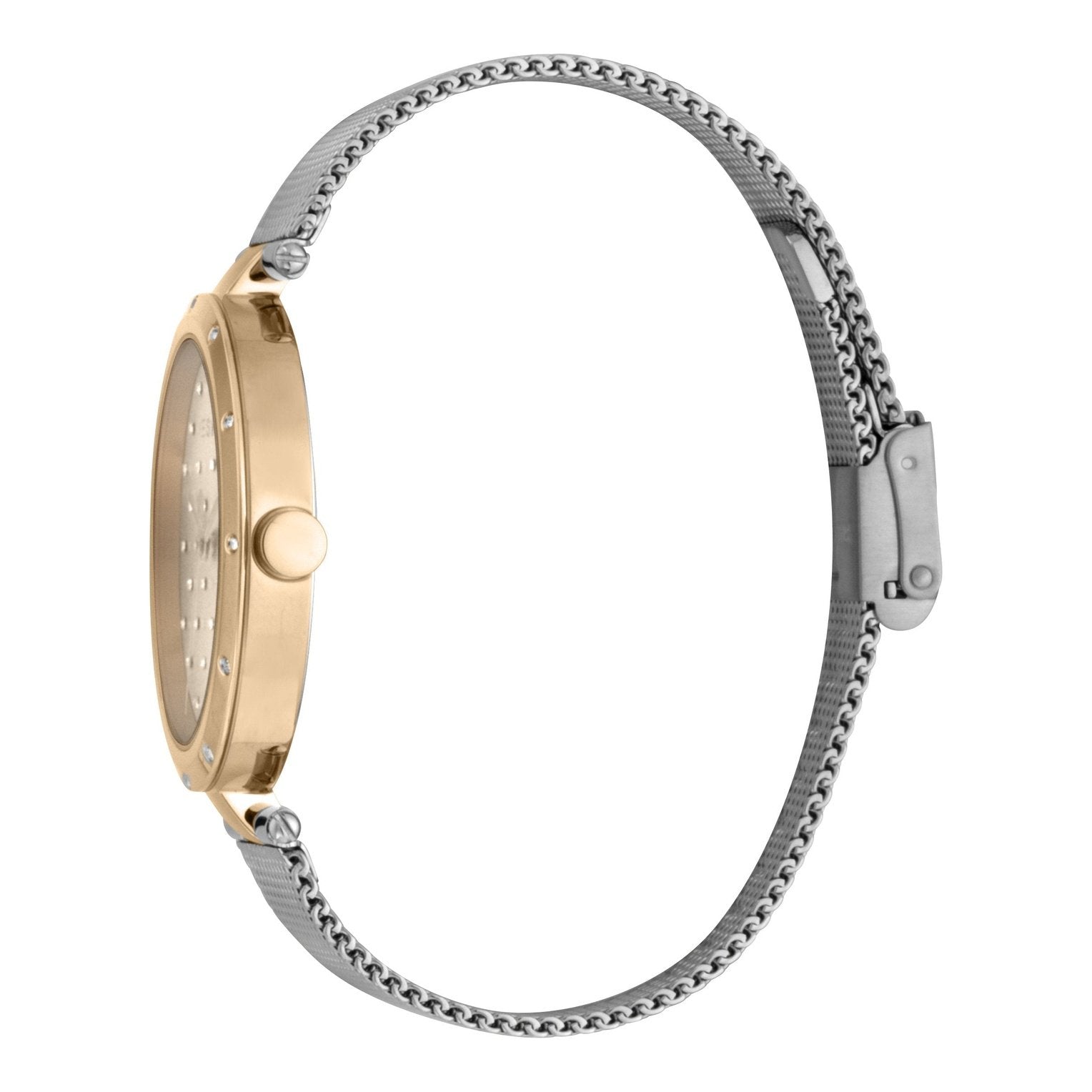 Ladies Louise Watch (ES1L214M0095)