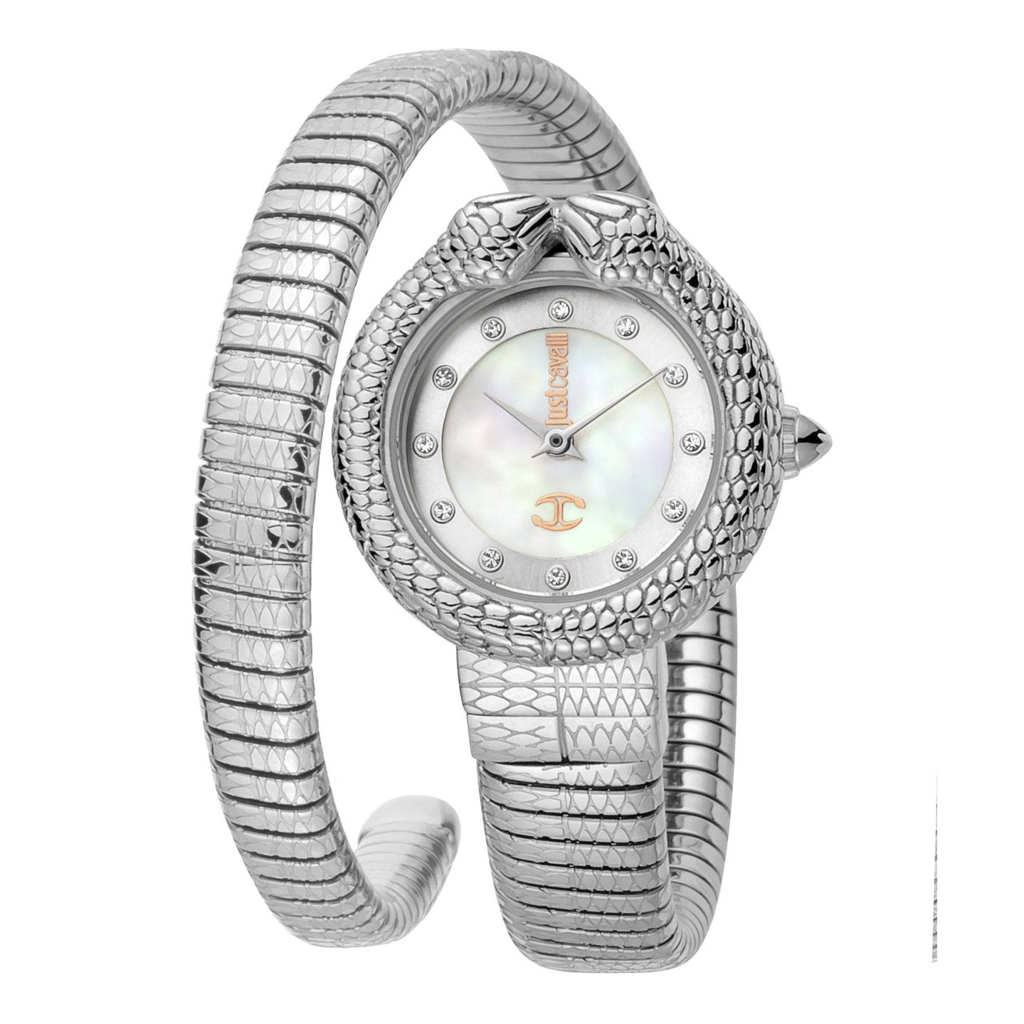 Ladies Dolce Glam Watch (JC1L161M0015)