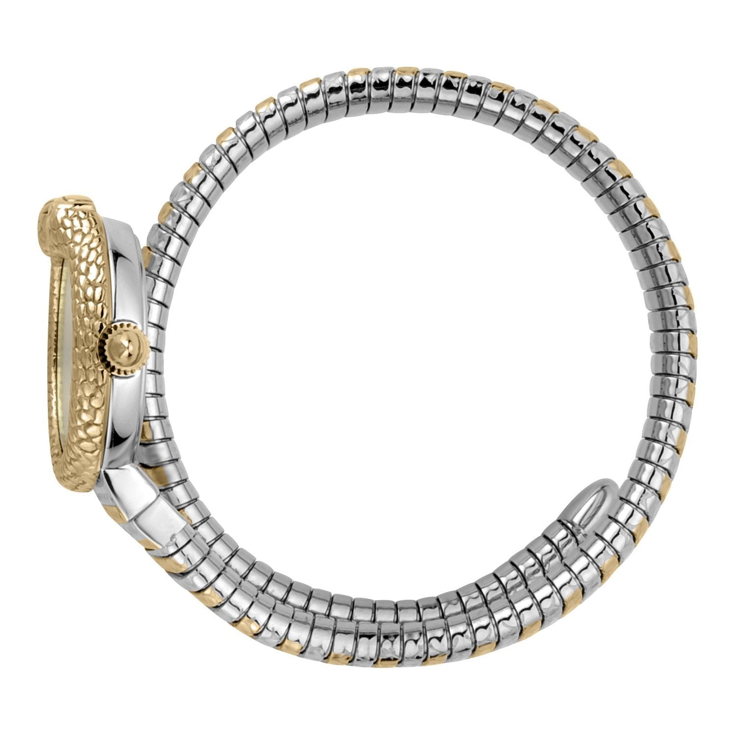 Ladies Dolce Glam Watch (JC1L161M0055)