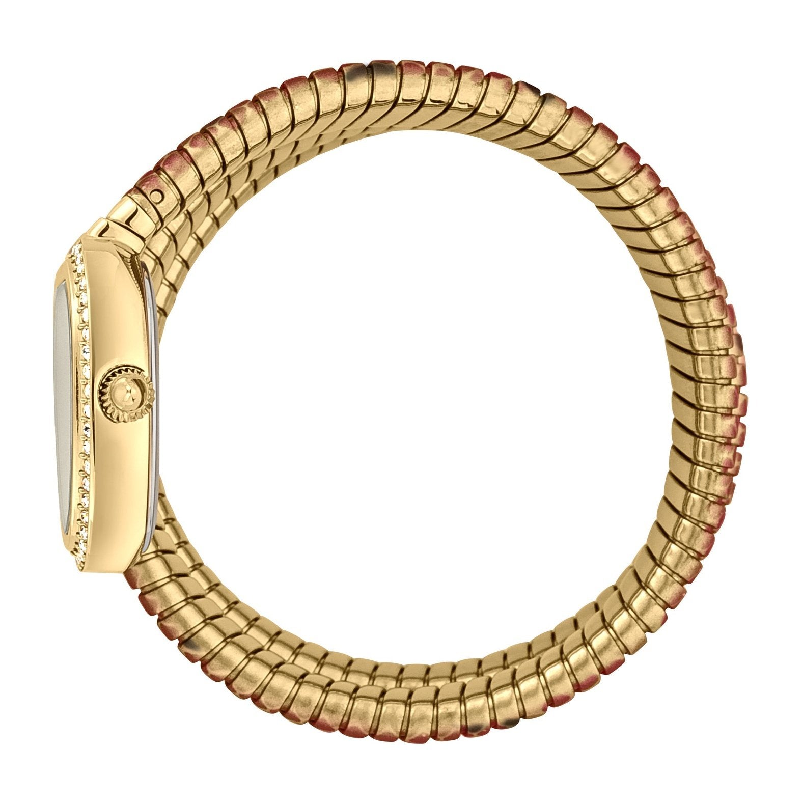 Ladies Serpente reale Watch (JC1L163M0245)