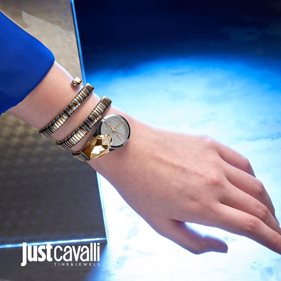 Ladies Glam Snake Silver Dial Metallic Analogue Watch (JC1L114M0065)