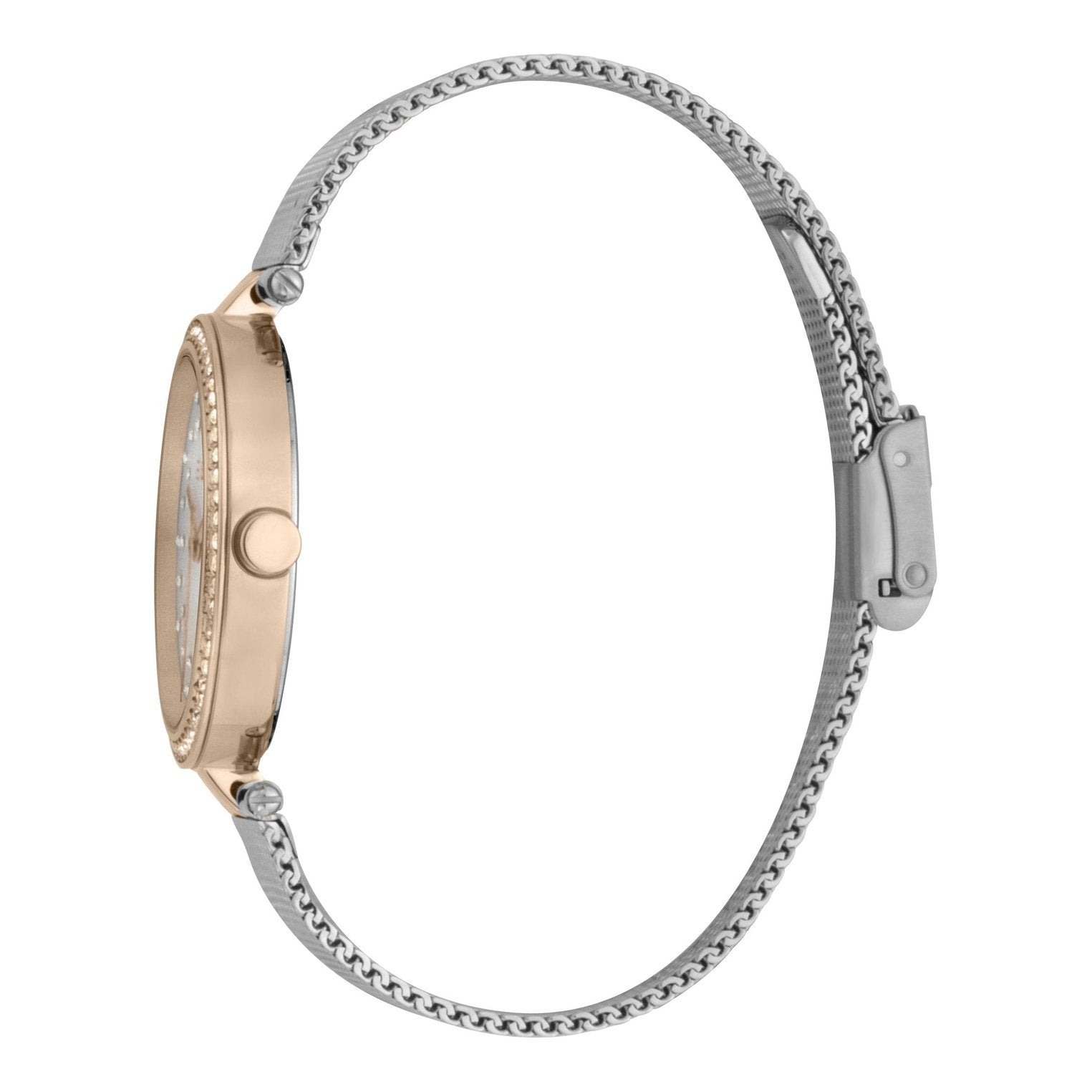 Ladies Roselle Watch (ES1L199M0075)