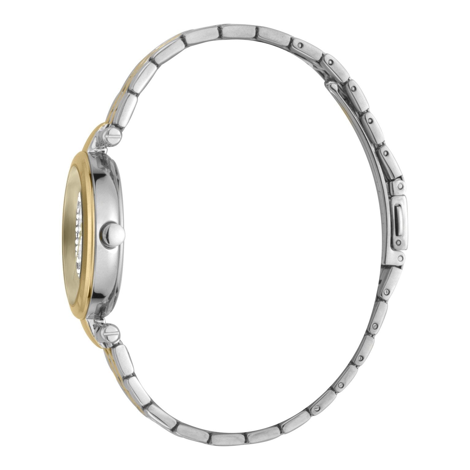 Ladies Cherry Watch (ES1L203M0095)