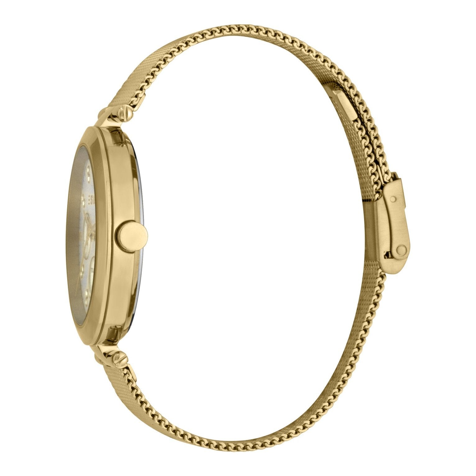 Ladies Florine Watch (ES1L213M0065)