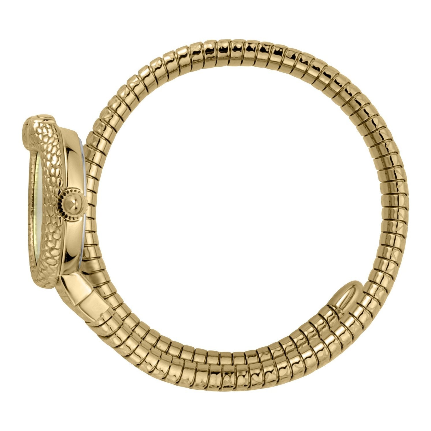 Ladies Dolce Glam Watch (JC1L161M0025)