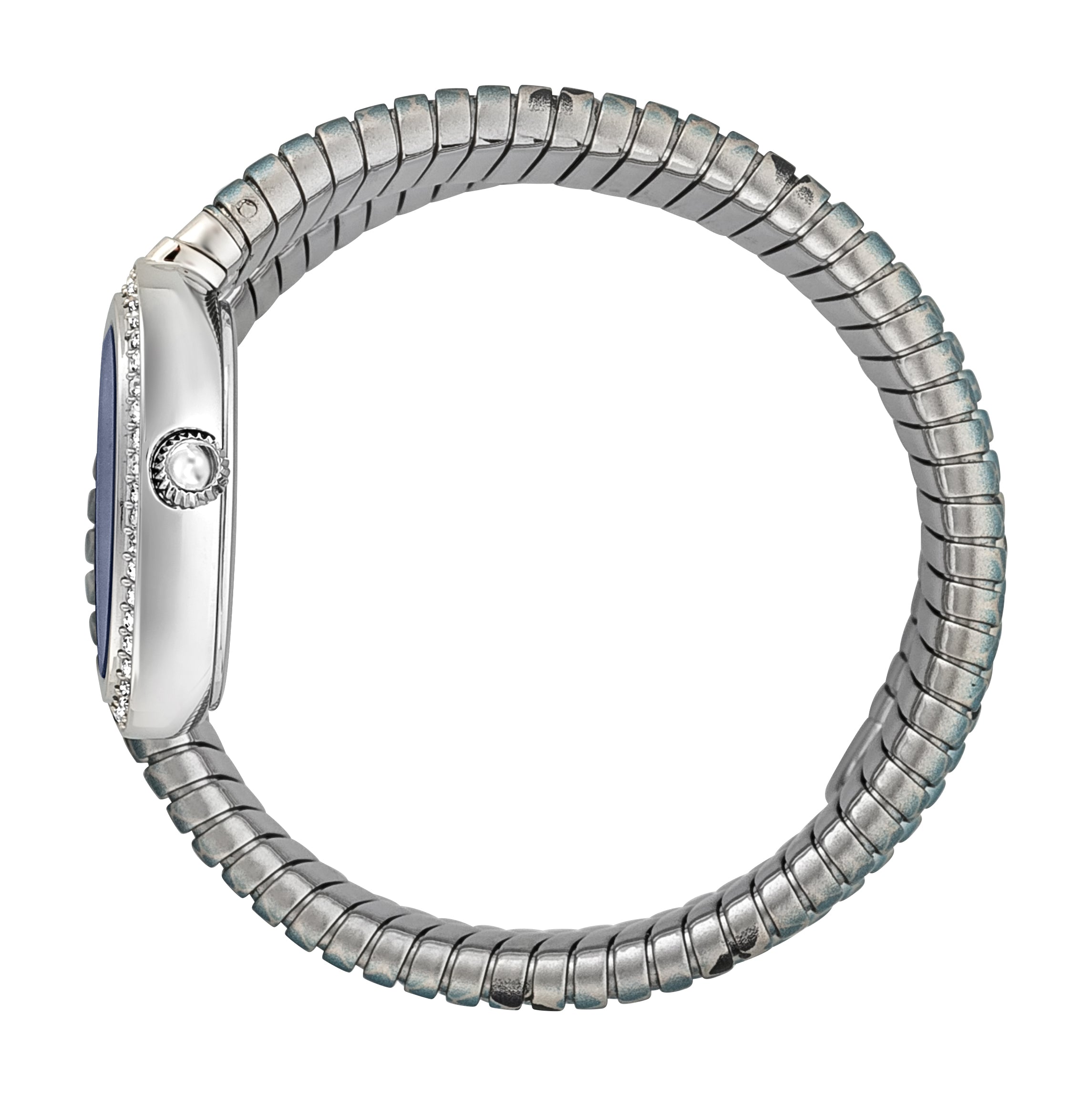 Ladies Serpente reale Watch (JC1L163M0225)