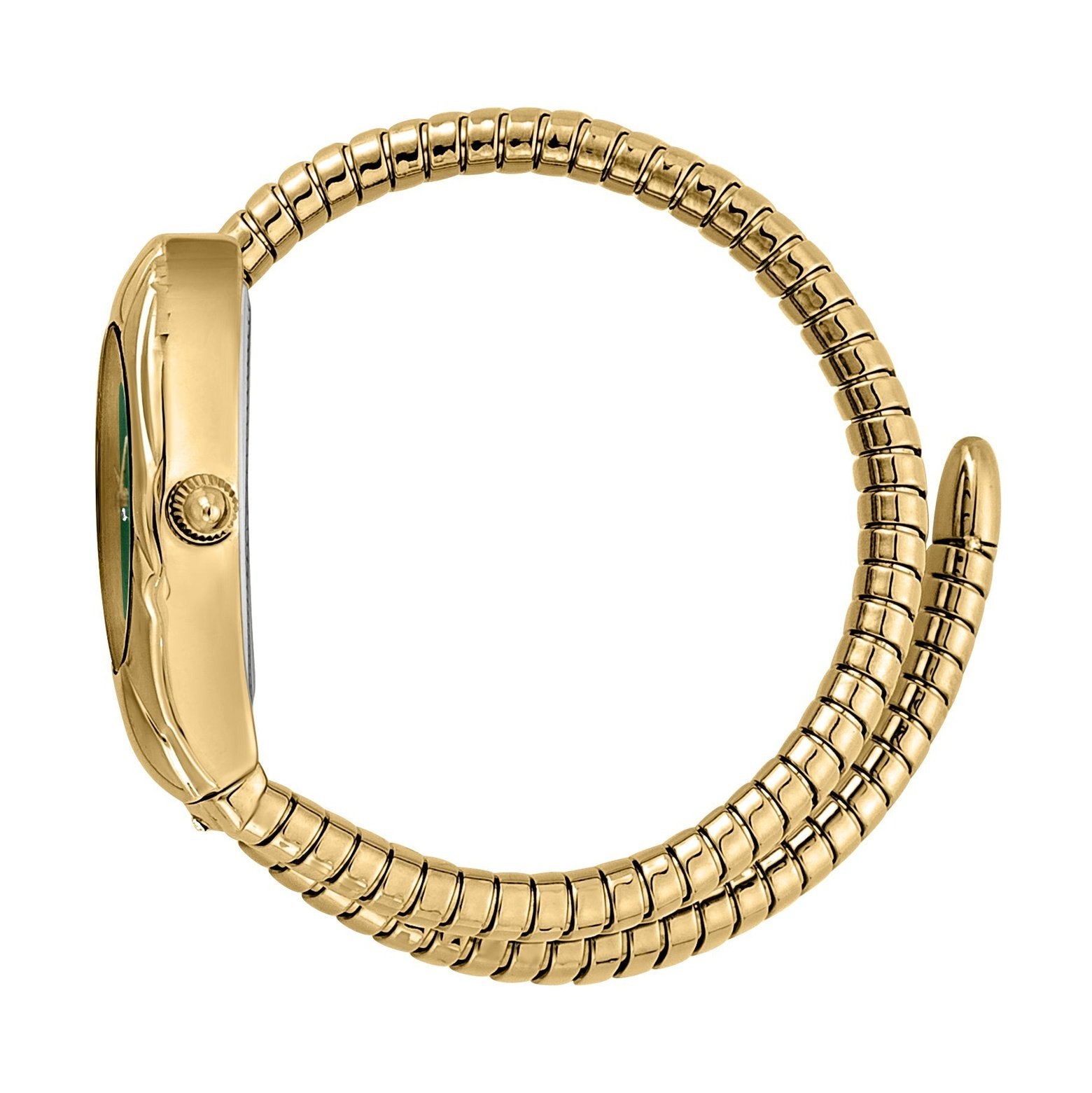 Ladies Serpente prestigio Watch (JC1L182M0015)