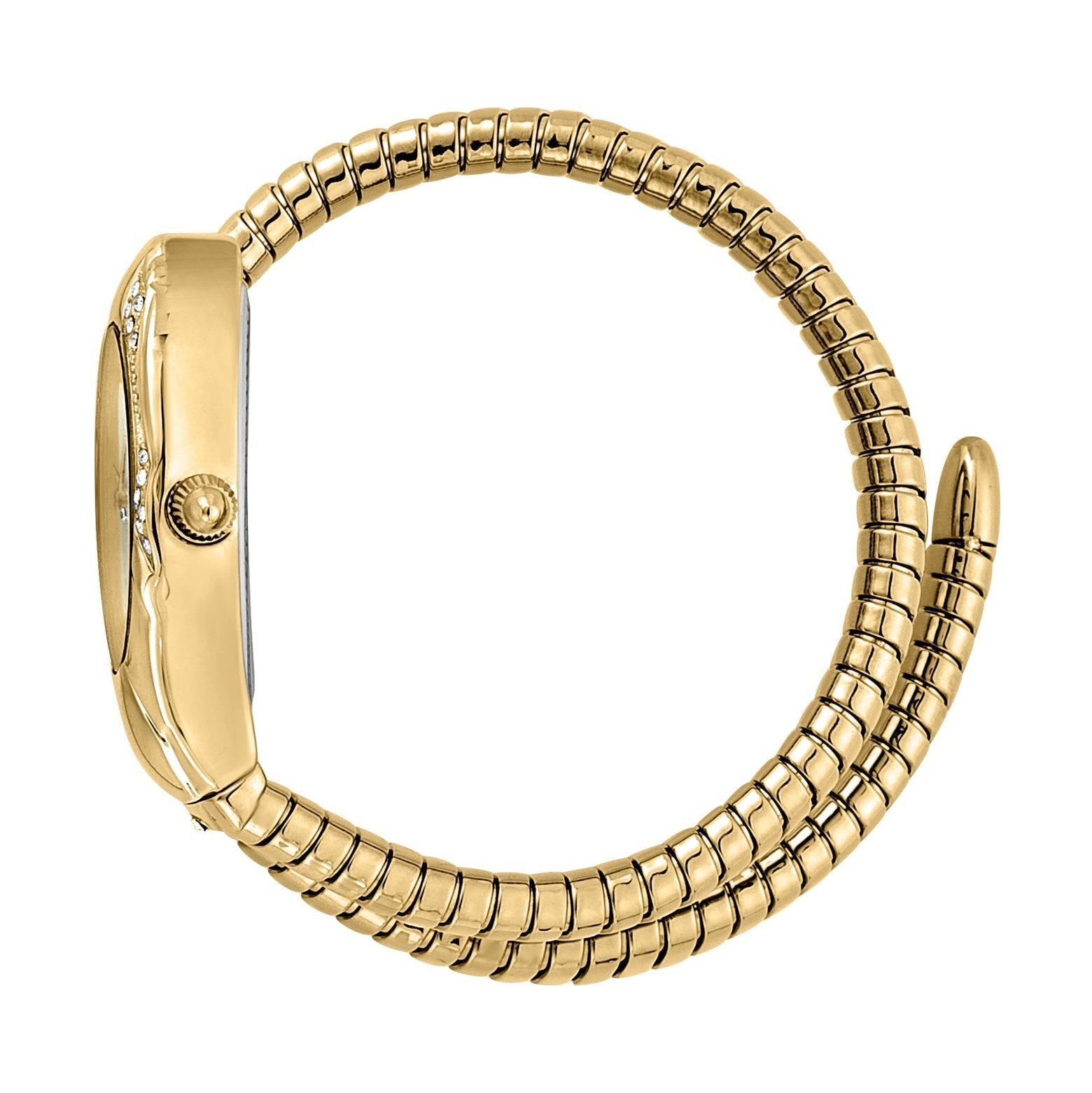 Ladies Serpente regali Watch (JC1L183M0025)