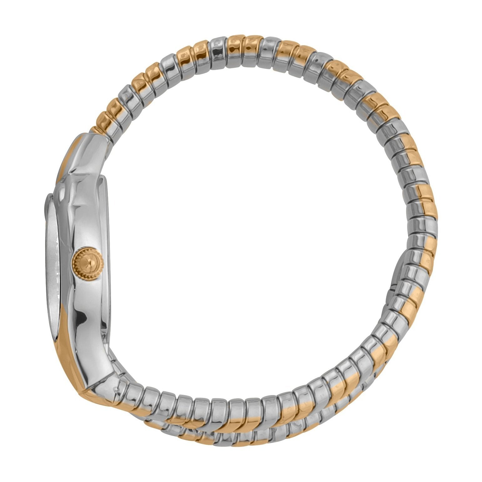 Ladies Serpente Corto Watch (JC1L186M0055)