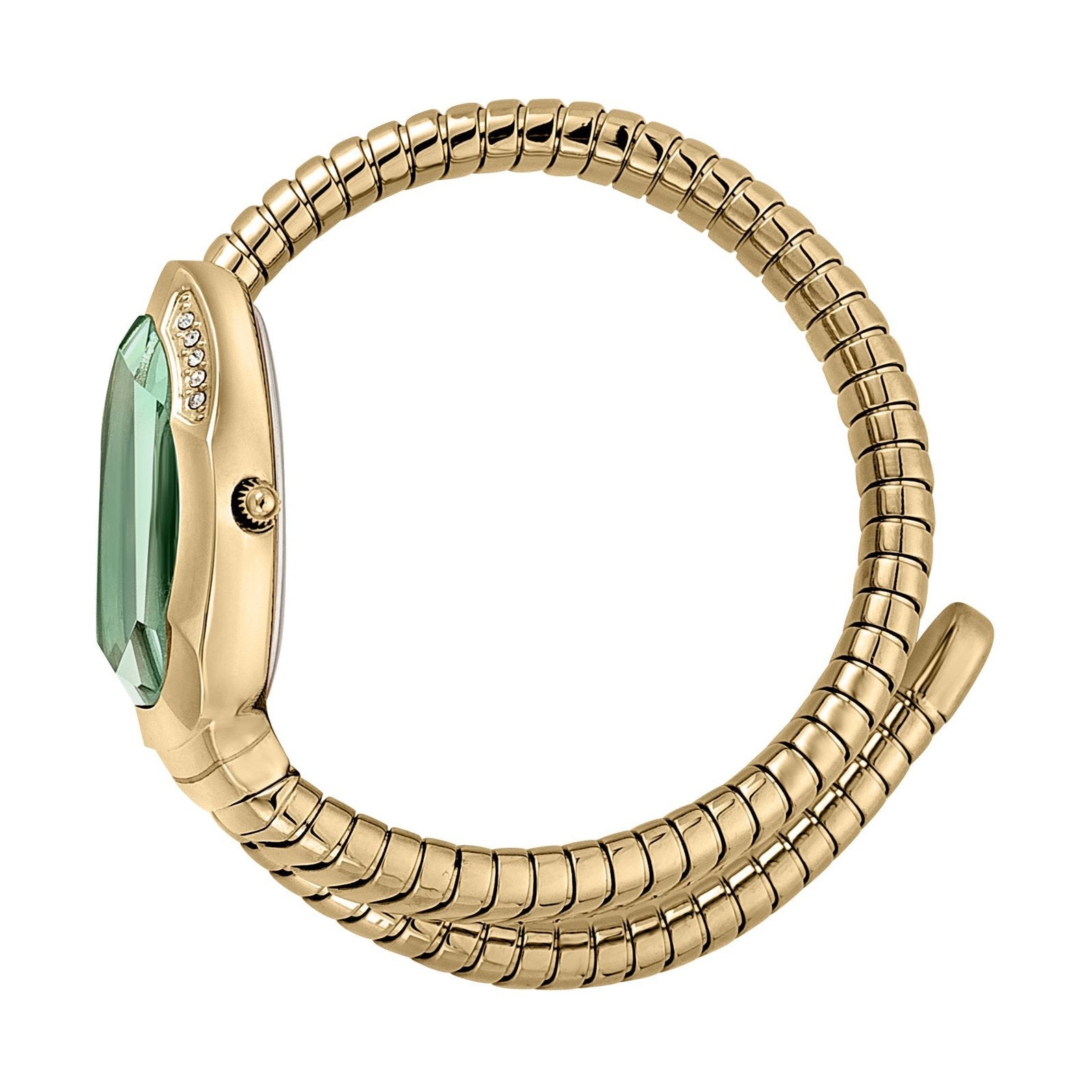 Ladies Serpente metallica Watch (JC1L208M0045)