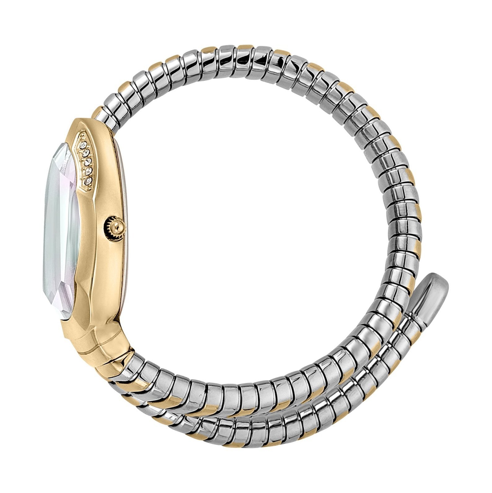 Ladies Serpente metallica Watch (JC1L208M0065)